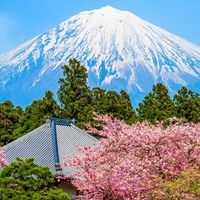 半月板損傷と変形性膝関節症のなかま