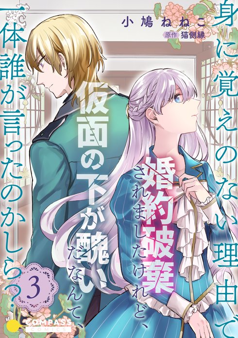 身に覚えのない理由で婚約破棄されましたけれど 仮面の下が醜いだなんて 一体誰が言ったのかしら 無料マンガ Line マンガ