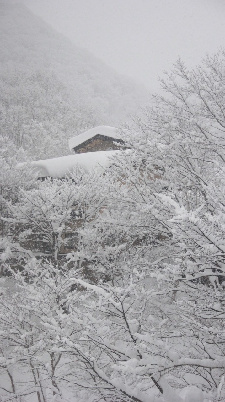 Japan trip 2026