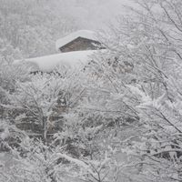 Japan trip 2026