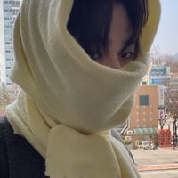 搶票區(版主邊佑錫/SEVENTEEN粉)