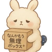 【モニター企画】なんかもう無理ボックス（N plus × ともみん）