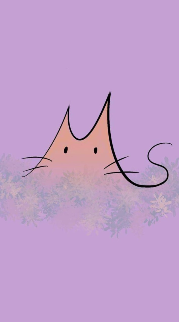 𝓜𝓢.團購