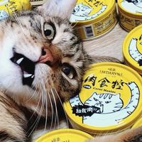 肉食控團購群