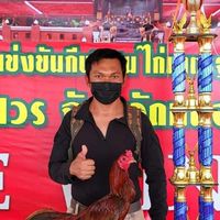 กลุ่มพัฒนาไก่ชนสายพันธุ์พม่าม้าล่อ..โดย ยศวัจน์ ศรีหาบุตร