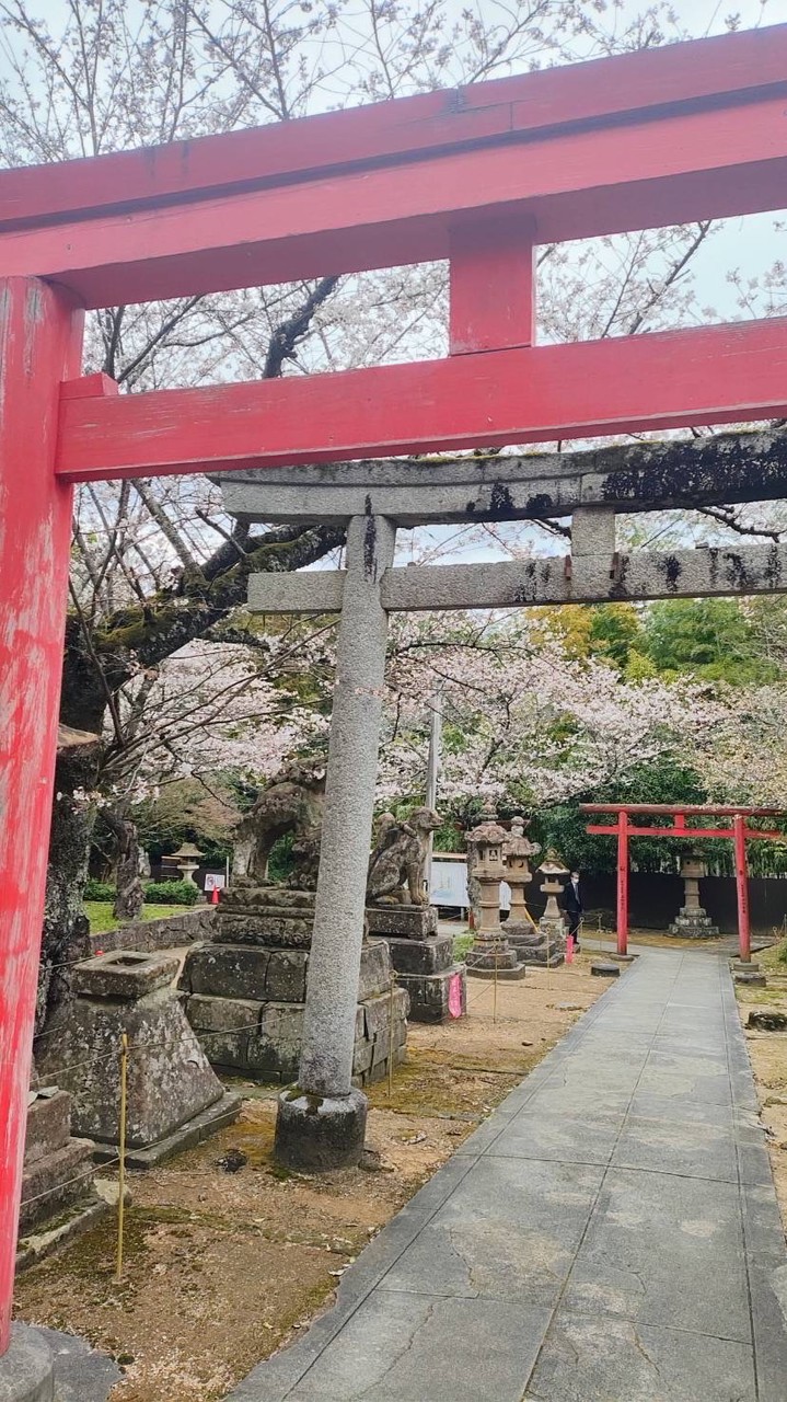 麗子購物團