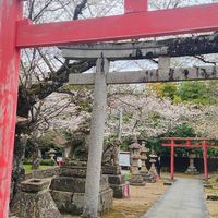 麗子購物團