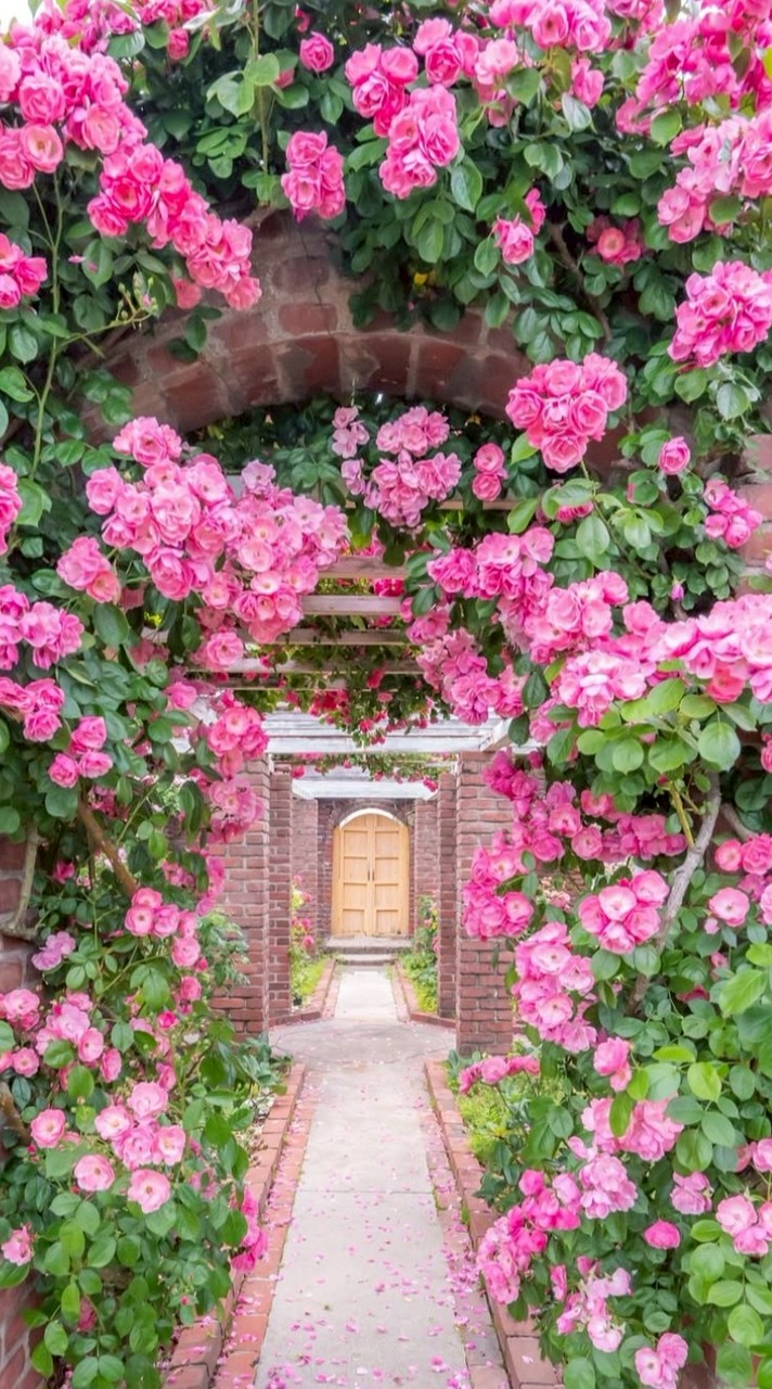 🥀秘密の花が綻ぶ癒しの大人の雑談部屋🥀