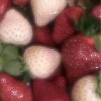 あなたと1つになれるのなら  ：  全緩ハント