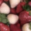 あなたと1つになれるのなら  ：  全緩ハント