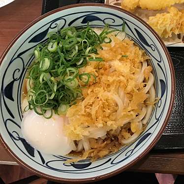 丸亀製麺 三島青木店のundefinedに実際訪問訪問したユーザーunknownさんが新しく投稿した新着口コミの写真