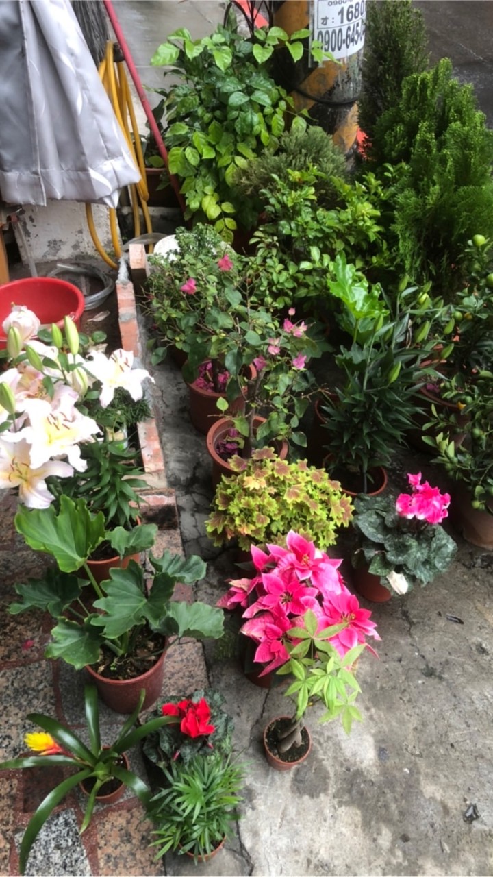 新艾克來中壢育樂路183號