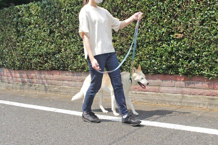 リードの持ち方次第で犬がストレスに