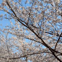倉敷 岡山  -☆まったり部屋☆-