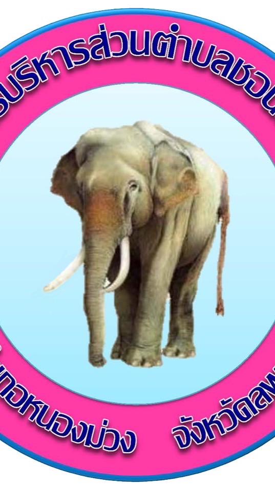 องค์การบริหารส่วนตำบลชอนสารเดช