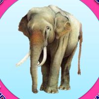 องค์การบริหารส่วนตำบลชอนสารเดช