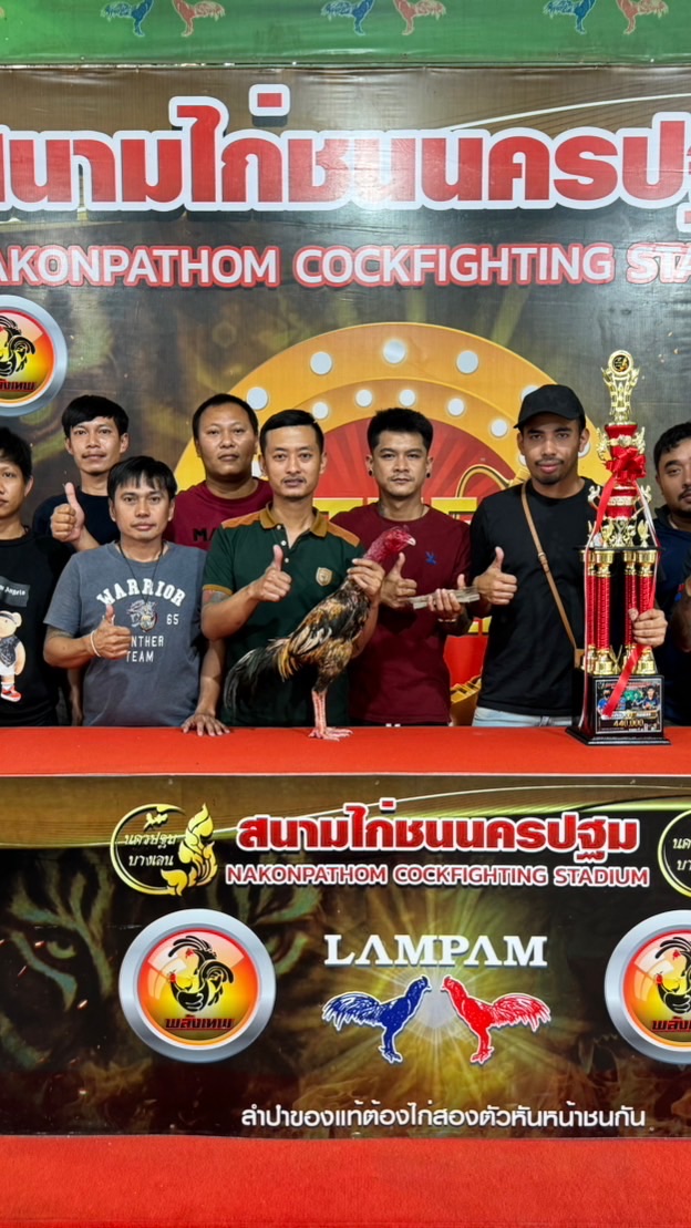 T-DED99 Farm แหล่งพัฒนาไก่ชนเงินล้าน (พม่า)