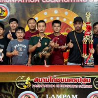 T-DED99 Farm แหล่งพัฒนาไก่ชนเงินล้าน (พม่า)