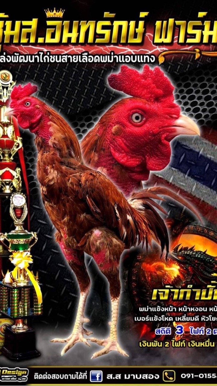 ส.อินทรักษ์🐓🏆