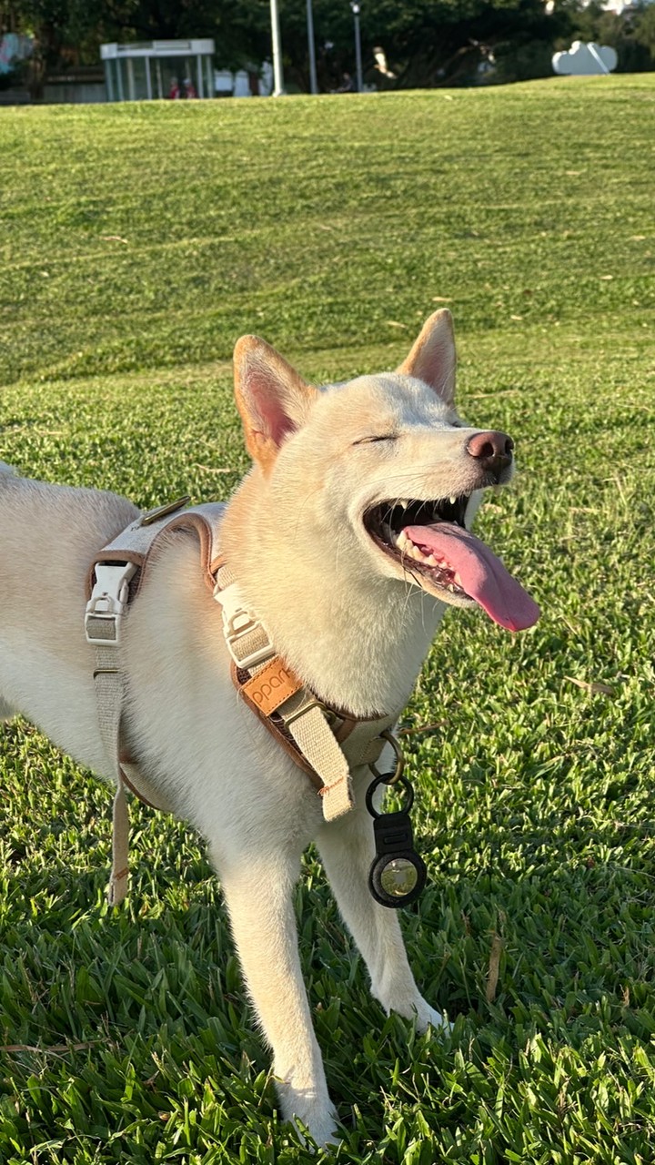 🌟麥麥の財務線下課🌟
