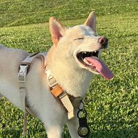🌟麥麥の財務線下課🌟