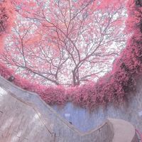 ៚心ོ之ོ所ོ願ོ 無ོ所ོ不ོ成ོ ﷽