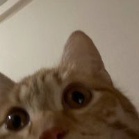 憩いの場〜みやち〜
