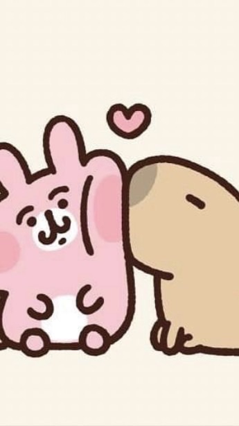 兔兔的優質選物🐰