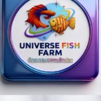 UNIVERSE FISH FARM 🐠🐠