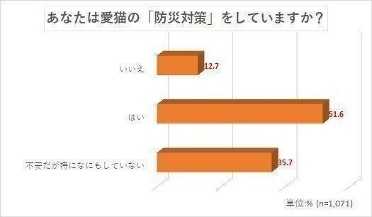 猫パンチ ソフトタッチ 新しいおもちゃへの反応に個性がでる