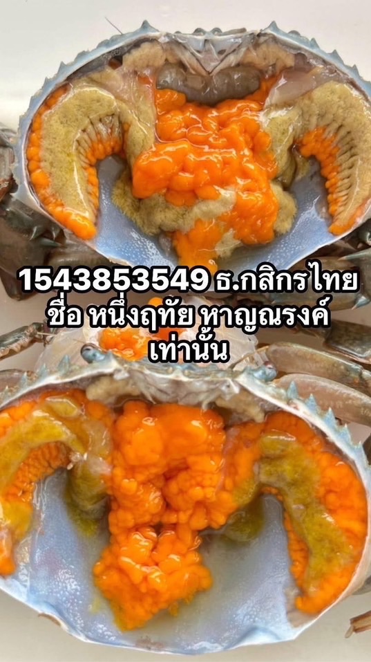 หนึ่งอาหารทะเลพร้อมส่ง🦀🦐