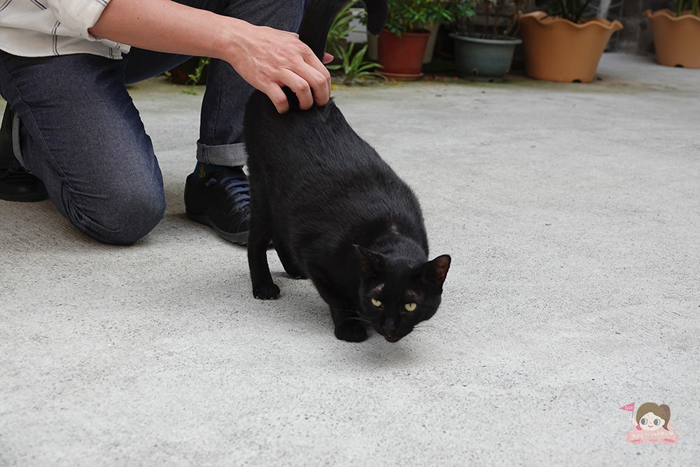 高雄 有。咖啡 自家烘焙咖啡豆 日式本格派手沖咖啡 Kono點滴式手沖 金澤式手沖 kono賽風 自家烘焙咖啡豆 義式咖啡 定食 甜點 小酌 私選音樂