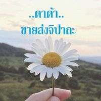 ดาด้าขายส่งจิปาถะ