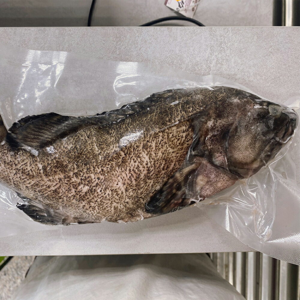 大魚大肉水產肉品《龍虎石斑》一尾/550g