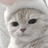 🌸~🚨学生&女子限定‼️生活音・恋愛・垢抜け~🌸