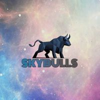 💵SKYBULLS VIP $1000🎊💙