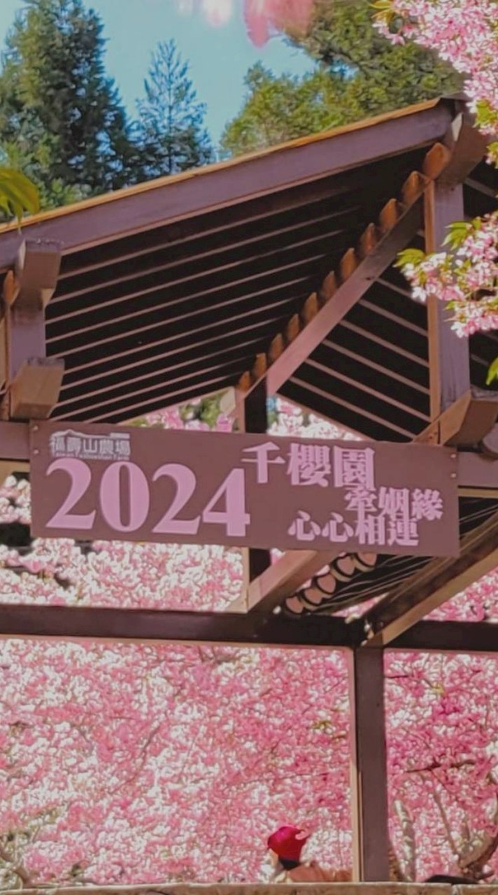 萬哥旅遊，合格導遊、領隊帶團，陳標原 交觀乙163200 品保中0479