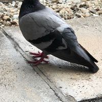 【メイン】メモセンター