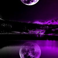 🔮紫貴🔮ROOM