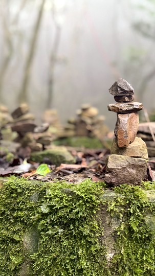 ✨登登登登登✨