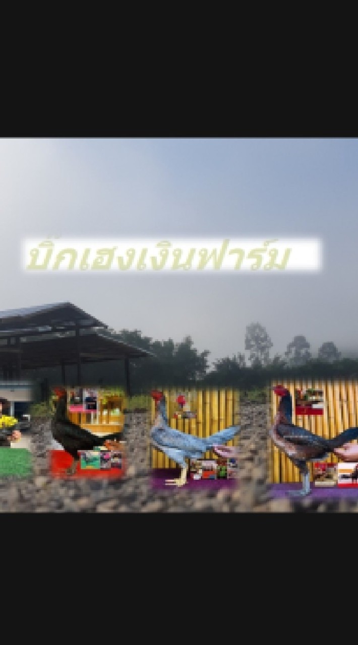 บิ๊กเฮงเงินฟาร์ม
