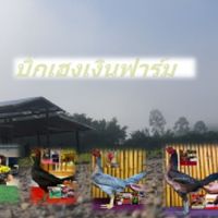 บิ๊กเฮงเงินฟาร์ม