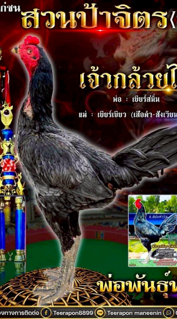 ซุ้มสวนป้าจิตร (spj) โคราช