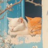 摘下星星送給自己