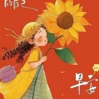 財運亨通創投D666