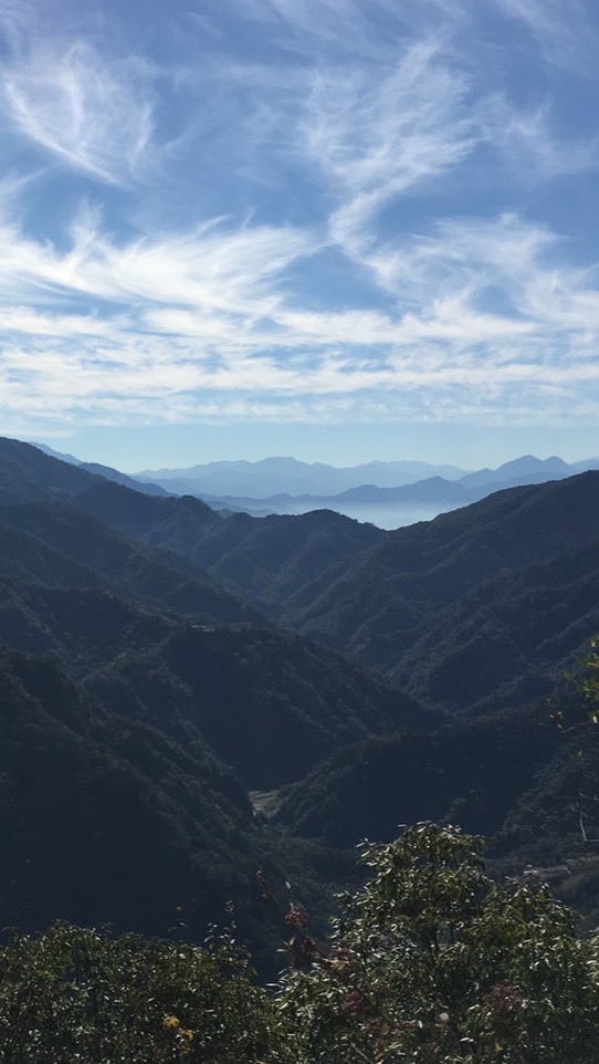 動物山友會