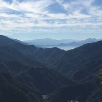 動物山友會