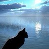 境界性パーソナリティ障害