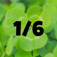 1/6 🐈‍⬛歌族ライブ☘️vol.2