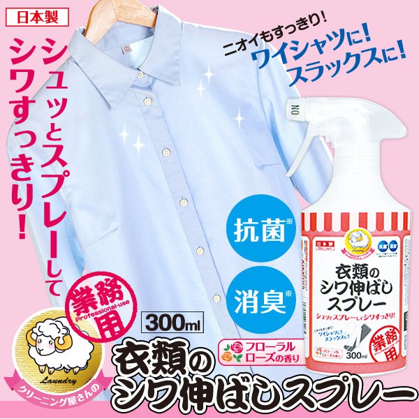 【艾美迪雅Aimedia】衣物除皺消臭噴霧劑 300ml 日本創意雜貨